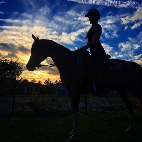 Meet your Posher, Ken - Picture 1 of 1